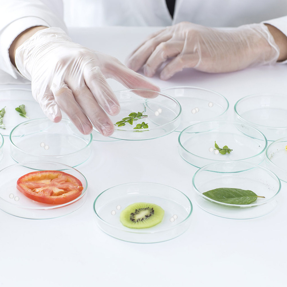 1000Pcs Clear Glass Balls Smal - Highball Glass Set のレビューと価格