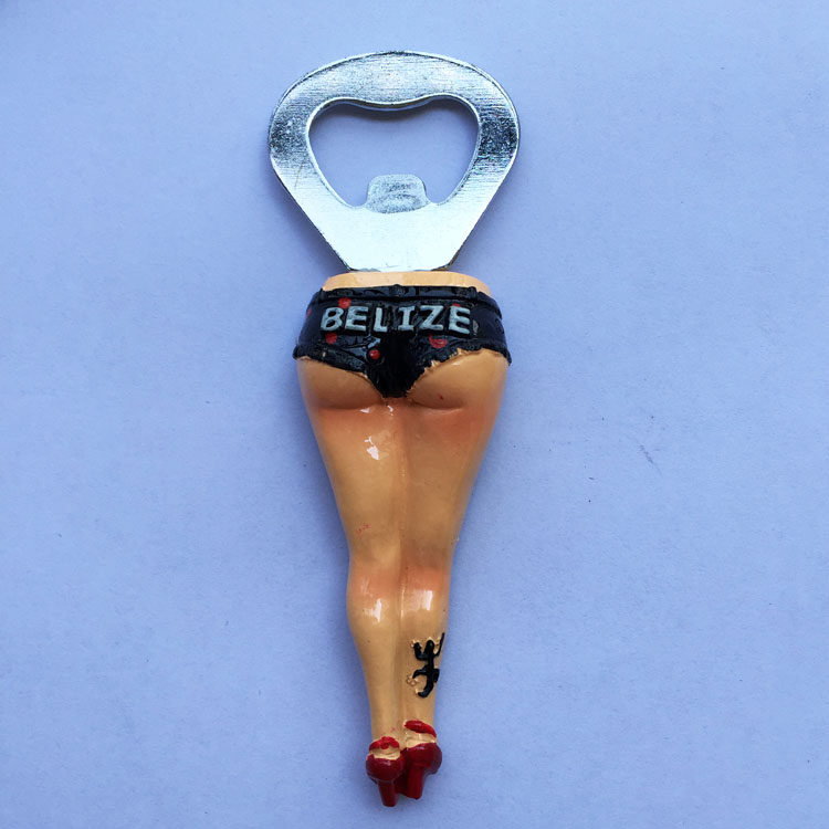 Belize Travel Commemorative Re - Home Bar And Fridge のレビューと価格