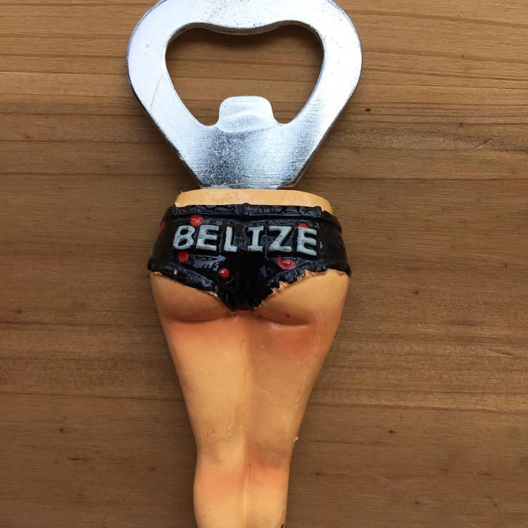Belize Travel Commemorative Re - Home Bar And Fridge のレビューと価格